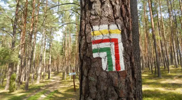Jak powstają szlaki górskie w Polsce? Od pomysłu po znakowanie PTTK