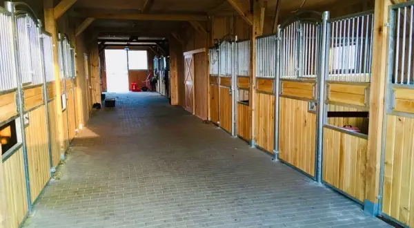 Wnętrze stajni w stadninie koni Dolina Pilicy. Drewniane boksy dla koni, wyłożona kostką brukową alejka, światło wpada przez otwarte drzwi na końcu.