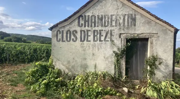 Capanna in vigneto con scritta "CHAMBERTIN CLOS DE BEZE", un nome che evoca il prestigio del **grand cru Borgogna**.