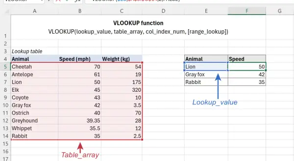 Arkusz kalkulacyjny z funkcją VLOOKUP. Wyszukaj pionowo dane zwierzęcia w tabeli.
