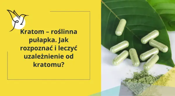 Kratom – roślinna pułapka. Jak rozpoznać i leczyć uzależnienie od kratomu? Kilka kapsułek i proszek na liściach.