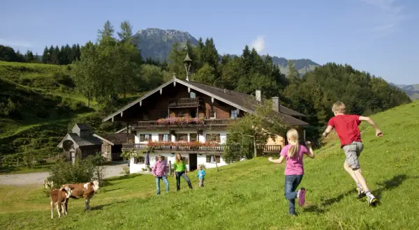 Kinder genießen ihre Ferien auf dem Bauernhof in Bayern. Kühe grasen vor einem traditionellen Holzhaus in den Bergen.