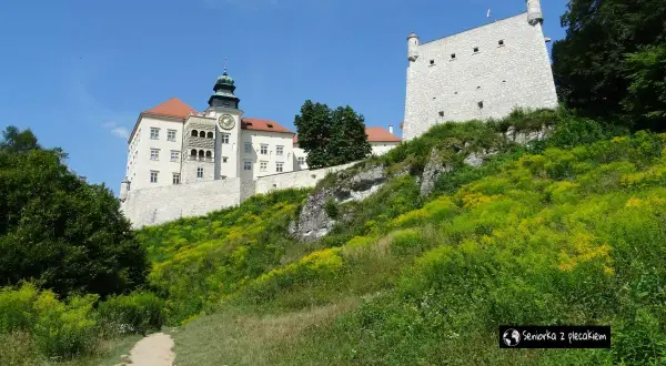 Zamek w Ojcowski Park Narodowy, otoczony zielenią i kwitnącymi chabrami, góruje nad malowniczym krajobrazem.