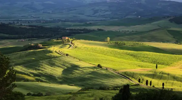 Dolci colline verdi illuminate dal sole, con una strada tortuosa che porta a una casa colonica. Un paesaggio iconico da scoprire: cosa vedere in Val d'Orcia.