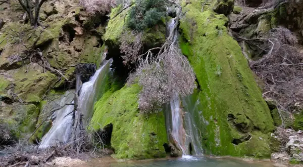 Cascada cubierta de musgo verde vibrante, con agua cayendo sobre rocas y formando un pequeño estanque. Es salt des freu, un rincón natural.
