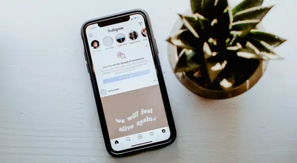 Telefon z Instagramem, na którym widać, jak zmienic tlo relacji na IG. Obok stoi roślina.