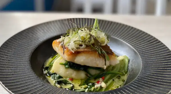 Smażony filet rybny z puree ziemniaczanym i zielonymi warzywami w sosie.