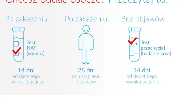 Badanie osocza: co to jest i dlaczego jest kluczowe dla zdrowia?