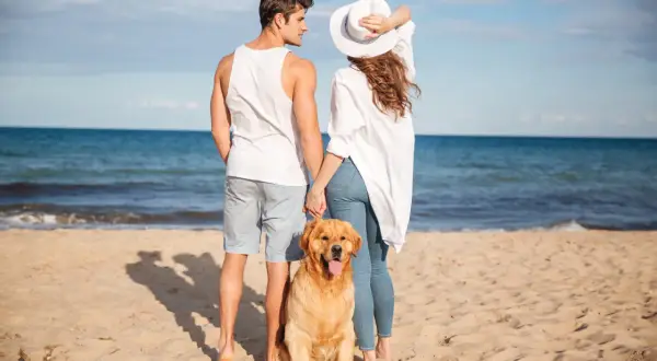 Para młoda z psem na plaży, ciesząca się słońcem. Marzymy, by taki urlop trwał od kiedy 35 dni urlopu.