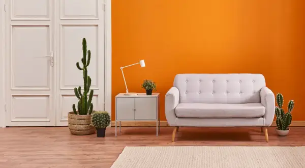 Ein helles Wohnzimmer mit einer leuchtend orangen Wand, einem grauen Sofa, Kakteen und einem Holzboden. Die raum farben schaffen eine warme Atmosphäre.