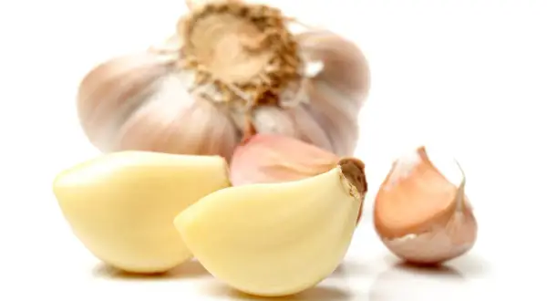 Cała główka czosnku i kilka ząbków na białym tle. Czosnek kcal - zdrowy dodatek do potraw.