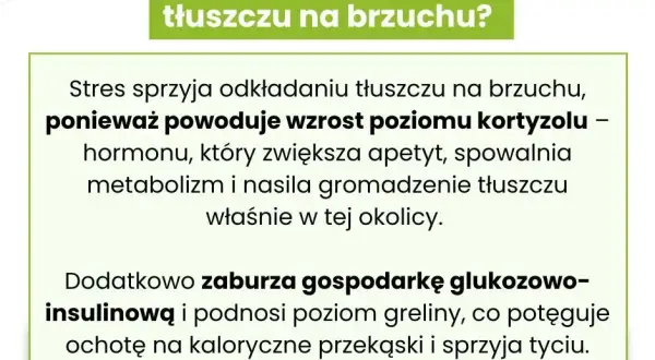 Co tuczy brzuch? Cukier, alkohol, stres jak z nimi walczyć?