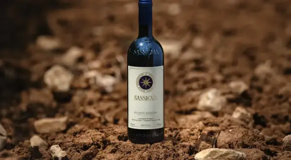 Butelka Sassicaia, uznawanego za najdroższe wino świata, stoi na żyznej ziemi, gotowa do zbiorów.