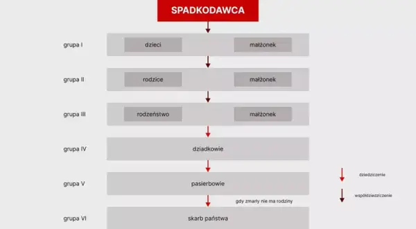 Schemat dziedziczenia ustawowego: spadkodawca, dzieci, rodzice, rodzeństwo, dziadkowie, pasierbowie, skarb państwa. Kto jest spadkobiercą?