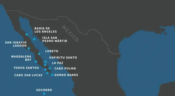 Mapa Półwyspu Kalifornijskiego z zaznaczonymi miejscami, które warto odwiedzić. Kiedy jechać do Meksyku? Sprawdź te punkty!