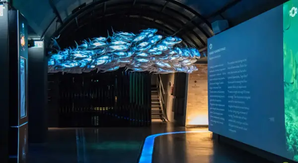 Wrocław na weekend dla dzieci: podwodny świat z ławicą ryb i wielorybem. Fascynująca ekspozycja w Oceanarium.