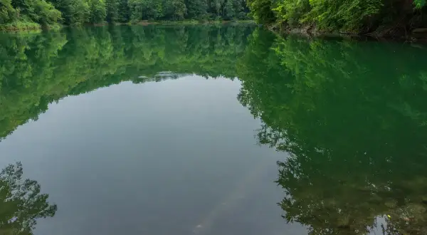 Spokojne, zielone jezioro szmaragdowe w Szczecinie, otoczone gęstym lasem, odbija się w spokojnej tafli wody.