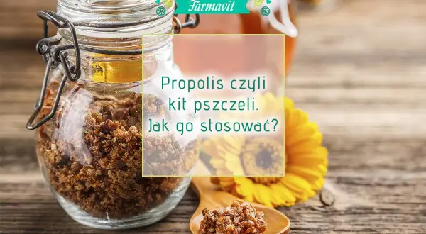 Słoik pełen propolisu, czyli kitu pszczelego, na drewnianym stole. Obok żółty kwiat i łyżeczka z grudkami propolisu.