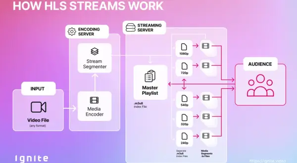 Diagram showing how HLS streams work, from video input to encoding, segmentation, and streaming server, enabling adaptive bitrate playback for the audience.