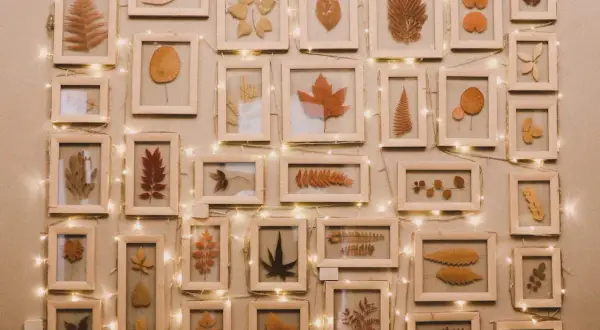 Collection de feuilles séchées encadrées, une belle idée peinture acrylique pour capturer la beauté de l'automne. Guirlande lumineuse ajoutant une touche chaleureuse.