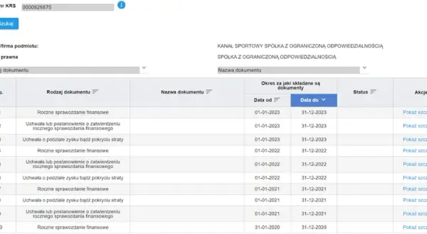 Sprawozdania finansowe KRS do kiedy? Uniknij kłopotów z terminem!