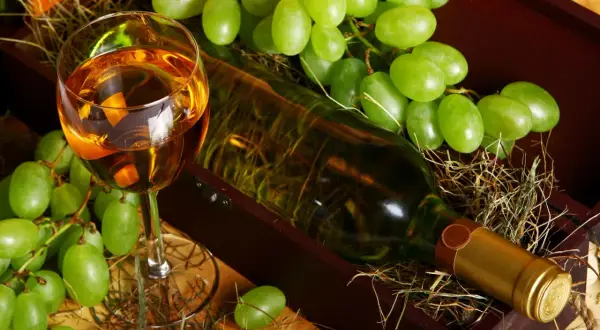 Czy wino jest wegańskie? Odkryj, co może cię zaskoczyć
