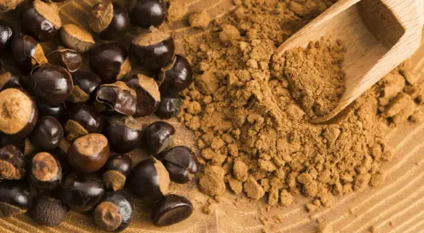 Guarana w ziarnach i proszku, gotowa do zaparzenia. Poznaj sekret naturalnej energii!
