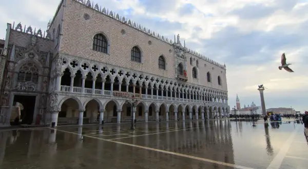 Palacio Ducal de Venecia reflejado en el suelo mojado por el acqua alta. Un ave vuela sobre la plaza.