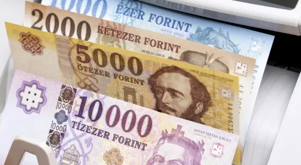 Stos banknotów w maszynie do liczenia. Widać nominały 1000, 2000, 5000 i 10000. To węgierska waluta, forint.