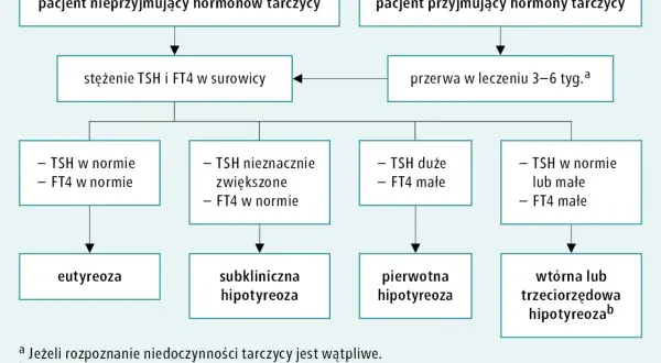 Schemat diagnostyki niedoczynności tarczycy. Czy przed badaniem TSH brać Euthyrox? Pacjent przyjmujący hormony tarczycy powinien zrobić przerwę w leczeniu.