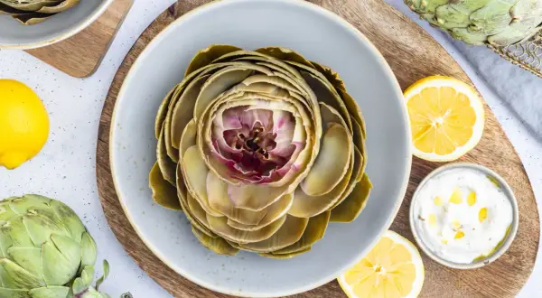 Ein gekochter Artischocke auf einem Teller, bereit für ein leckeres Artischocken Rezept. Dazu Zitronenspalten und eine Dip-Schale.
