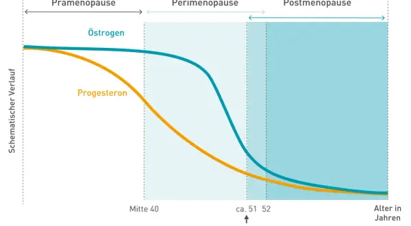 Grafik zeigt den Verlauf von Östrogen und Progesteron. Sie illustriert, wie lange dauern wechseljahre, von der Prämenopause über die Perimenopause bis zur Postmenopause.