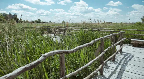 Skansen Tum: Odkryj historię i atrakcje w Kwiatkówku i Tumu