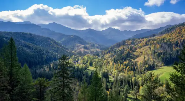 Jesienne trasy Tatry w pełnej krasie. Góry, lasy w odcieniach złota i zieleni, błękitne niebo z chmurami.