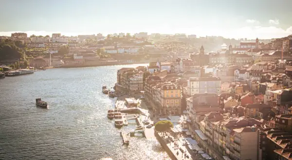 Gdzie zjeść w Porto? Najlepsze miejsca, ceny i dania "must-try"