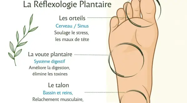 Découvrez comment soigner par les pieds grâce à la réflexologie. L'image montre un pied avec des zones indiquées pour les orteils, la voûte et le talon, associées à des bienfaits pour le corps.