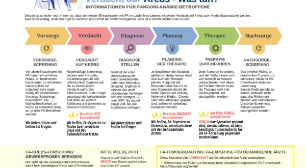 Schritte bei Verdacht auf Krebs bei Fanconi-Anämie: Vorsorge, Verdacht, Diagnose, Planung, Therapie, Nachsorge. Informationen für seltene krebsarten.