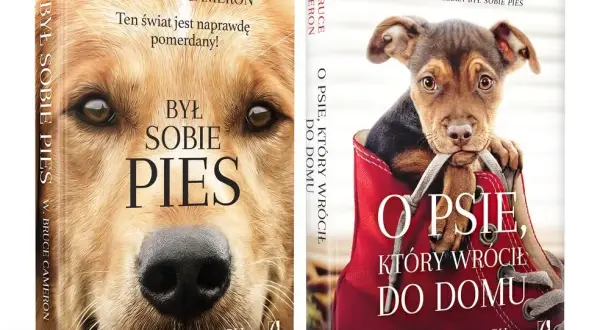 O psie który wrócił do domu książka - wzruszająca historia, która porusza serce