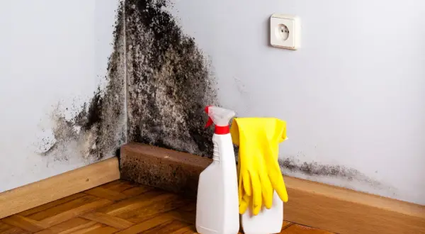 Angolo del bagno con estesa muffa nera. Accanto, prodotti per la pulizia e guanti gialli pronti all'uso.