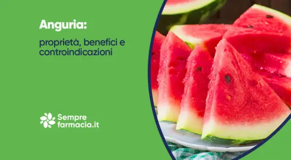Anguria: proprietà, benefici e controindicazioni. Fette succose di anguria su un piatto, con testo informativo.