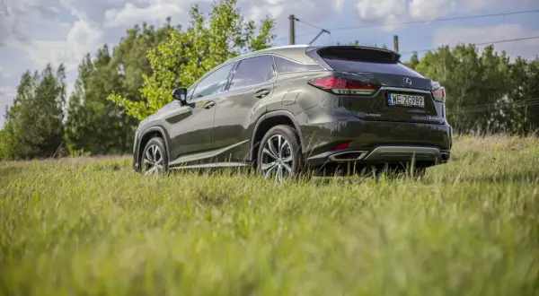 Ciemnozielony Lexus RX 300 stoi na trawiastym polu, z drzewami i niebem w tle.