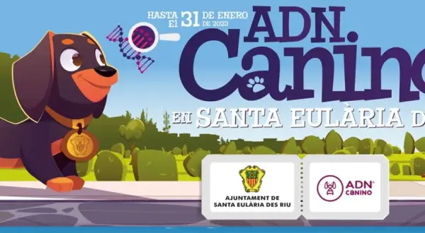 Es obligatorio censar al perro en el ayuntamiento y sus consecuencias