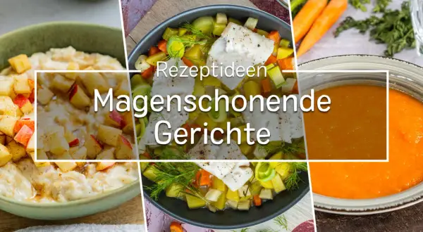 Schonkost Hauptgerichte: Leichte Rezepte für empfindliche Mägen