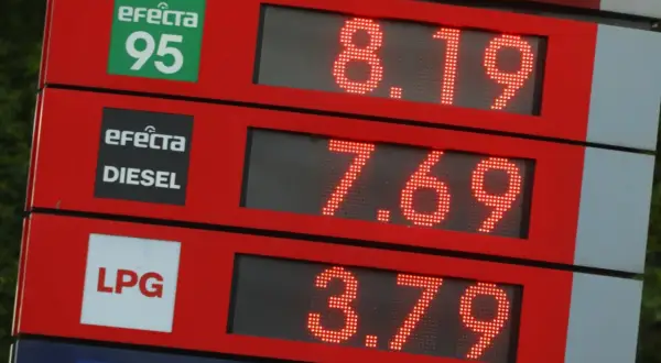 Cena ropy Orlen: benzyna 95 kosztuje 8.19 zł, diesel 7.69 zł, a LPG 3.79 zł.