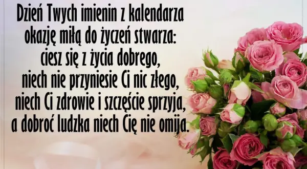 Bukiet róż na imieniny Czesława. Życzenia: ciesz się życiem, niech zdrowie i szczęście sprzyjają, a dobroć niech Cię nie omija.