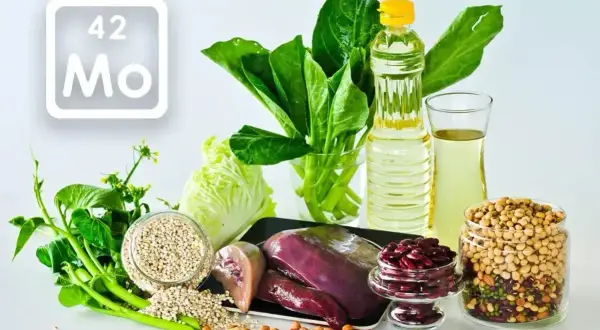 Tabela pierwiastków z symbolem Mo (molibden) obok produktów bogatych w ten pierwiastek: wątróbka, fasola, soja, zboża, warzywa liściaste i olej.