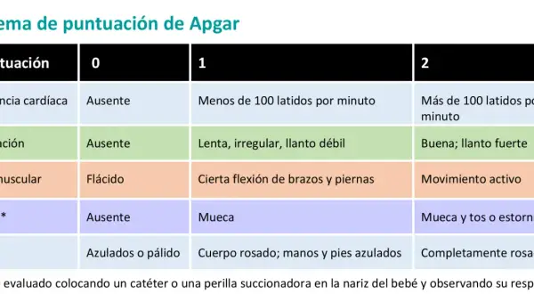 Tabla del test de Apgar: evalúa frecuencia cardíaca, respiración, tono muscular, reflejos y color del bebé.