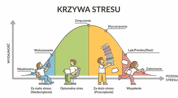 Krzywa stresu pokazuje, jak rozładować stres u nastolatków. Od niedociążenia, przez optymalny stres, po przeciążenie i wypalenie.