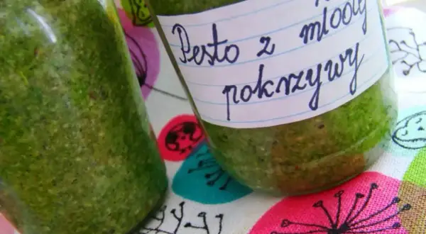 Słoiki z domowym pesto z młodej pokrzywy. Idealne, by dowiedzieć się, jak zrobić pesto.