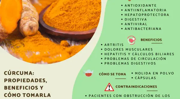 Raíz de cúrcuma y polvo dorado. La cúrcuma para la piel es un potente antioxidante y antiinflamatorio, ideal para mejorar la salud.